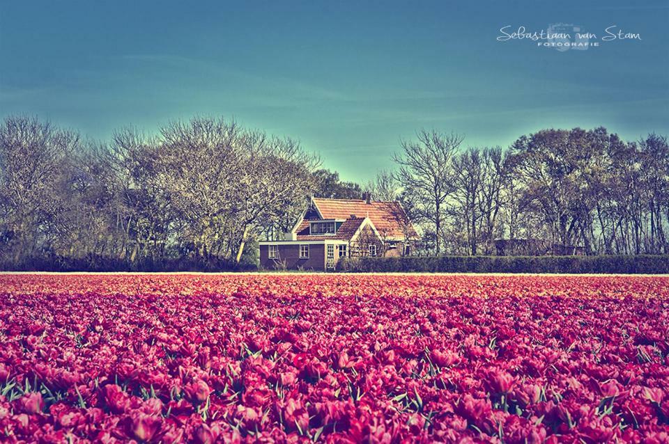 Bungalow Callantsoog Villa 't Zand Exterior foto